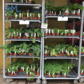 Good Quality Farm Warehouse Greenhouse Garden Centre Flower Nursury Plant Rack